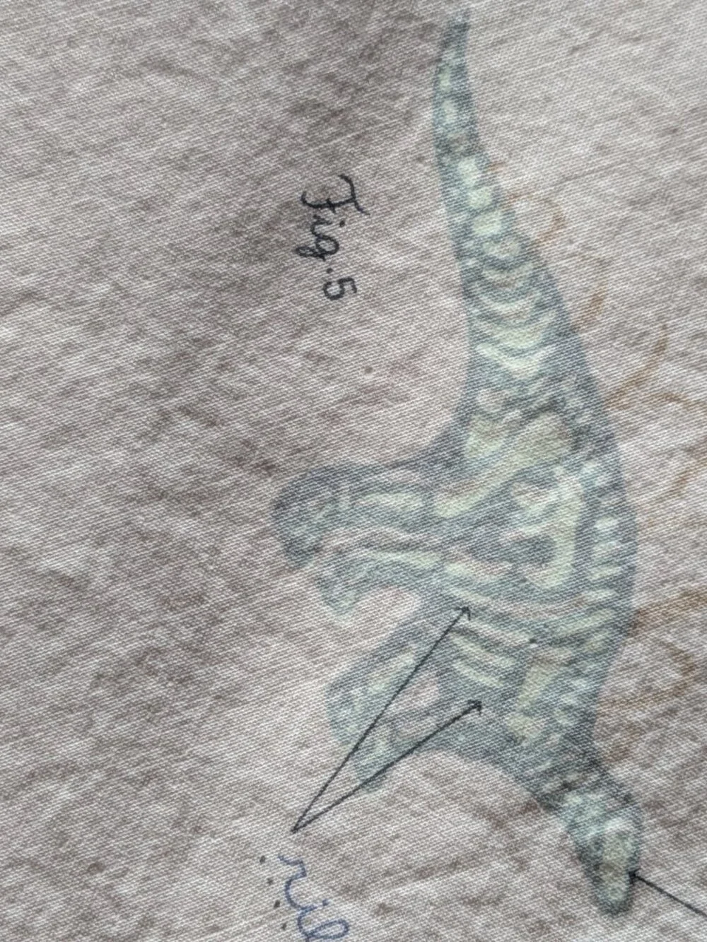 Zara Home Kids | CHILDREN’S DINOSAUR PILLOWCASE